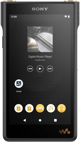Sony Walkman 128GB WM1 Series NW-WM1AM2: Compatible/DSDDSD 11.2MHz Native Playback PCM 384kHz/32bit Playback/Equipped with DSEE Ultimate DSD Remastering Engine/Aluminum Rear Cover/Uses Sony Proprietary FTCAP3 Capacitor