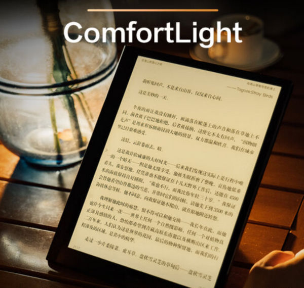 iReader Smart X3 with English