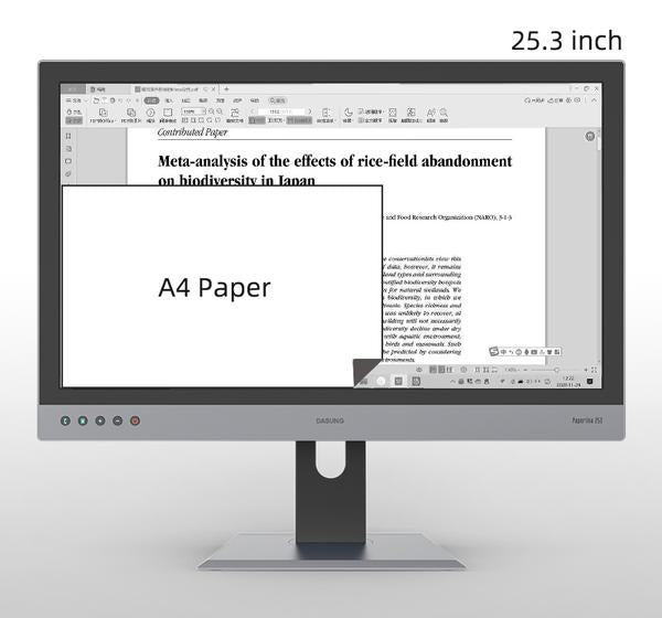 Dasung Paperlike 253 - Monitor - 3